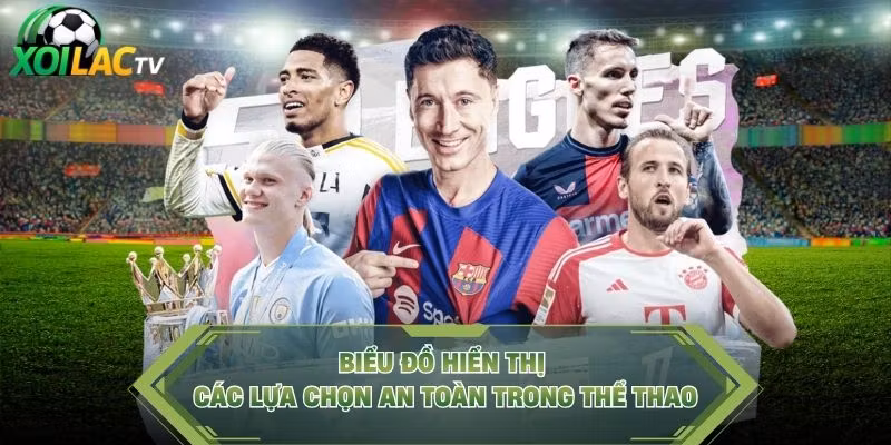 Biểu đồ hiển thị các lựa chọn an toàn trong thể thao