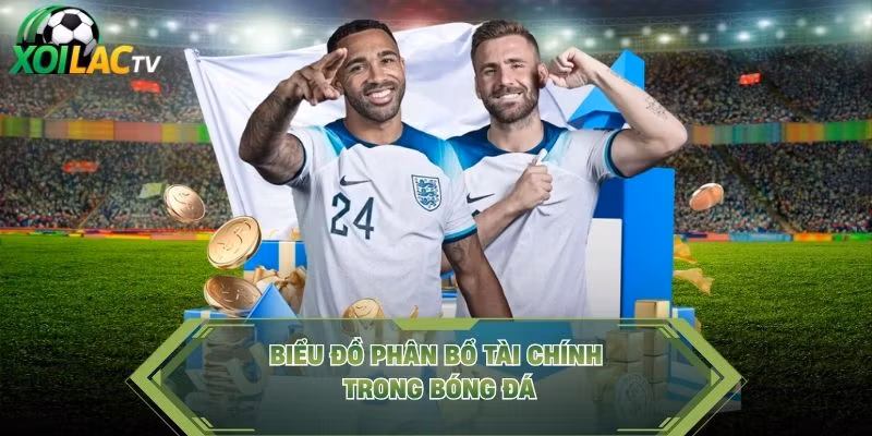 Biểu đồ phân bổ tài chính trong bóng đá