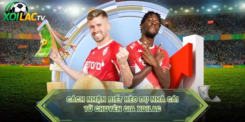 Cách nhận biết kèo dụ nhà cái từ chuyên gia Xoilac