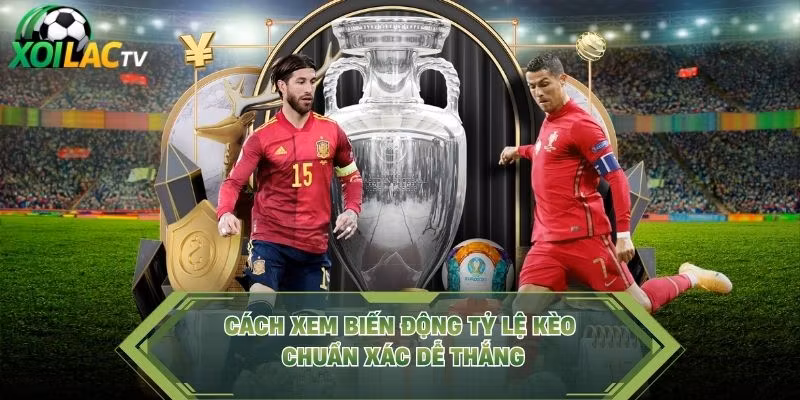 Cách xem biến động tỷ lệ kèo chuẩn xác dễ thắng