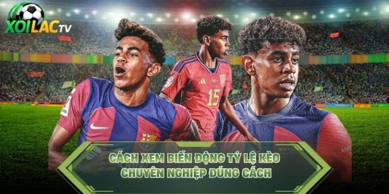 Cách Xem Biến Động Tỷ Lệ Kèo Chuyên Nghiệp Đúng Cách