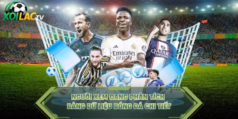 Người xem đang phân tích bảng dữ liệu bóng đá chi tiết