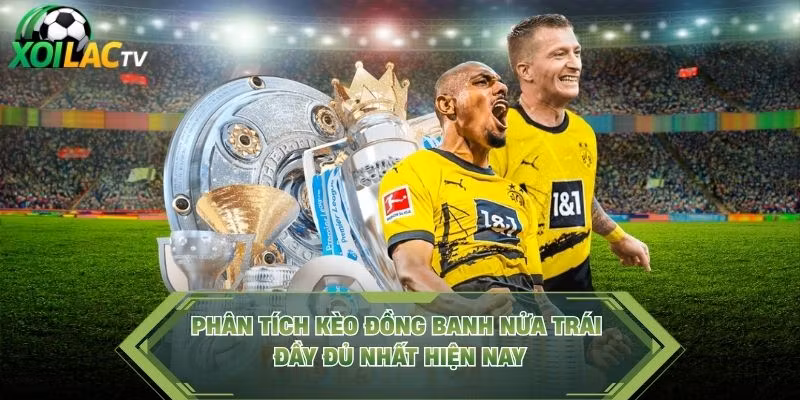 Phân tích kèo đồng banh nửa trái đầy đủ nhất hiện nay
