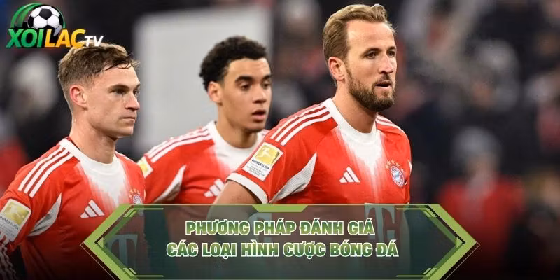 Phương pháp đánh giá các loại hình cược bóng đá