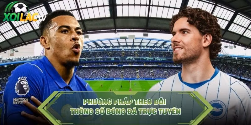Phương pháp theo dõi thông số bóng đá trực tuyến