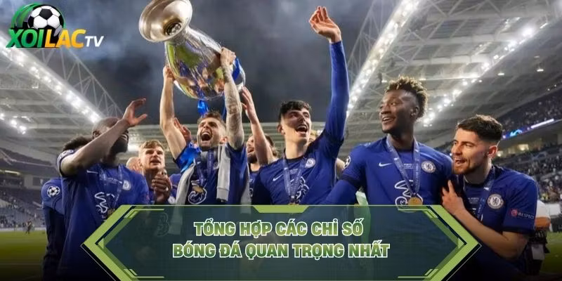 Tổng hợp các chỉ số bóng đá quan trọng nhất