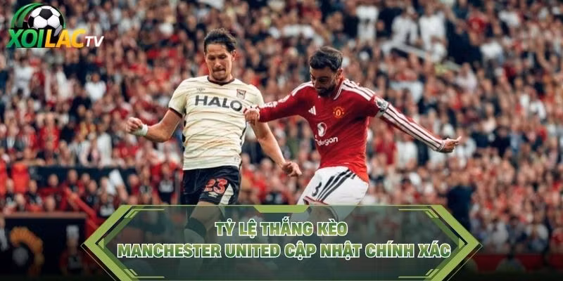 Tỷ lệ thắng kèo Manchester United cập nhật chính xác