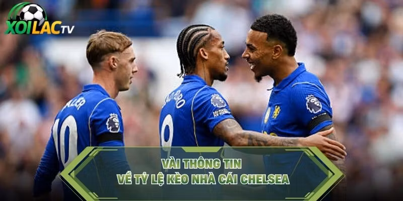 Vài thông tin về tỷ lệ kèo nhà cái Chelsea
