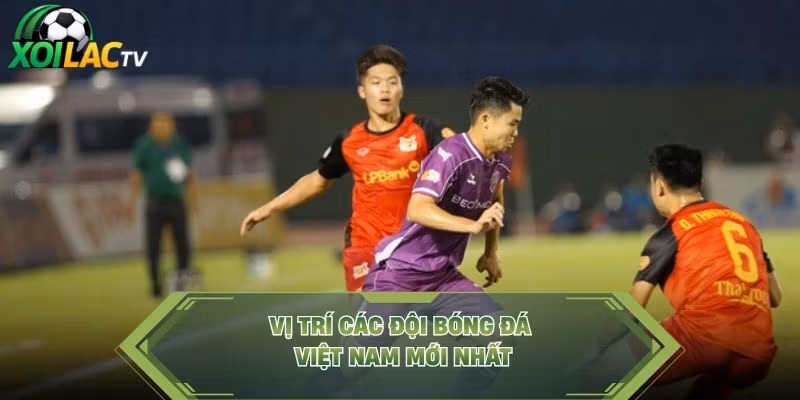 Vị trí các đội bóng đá Việt Nam mới nhất